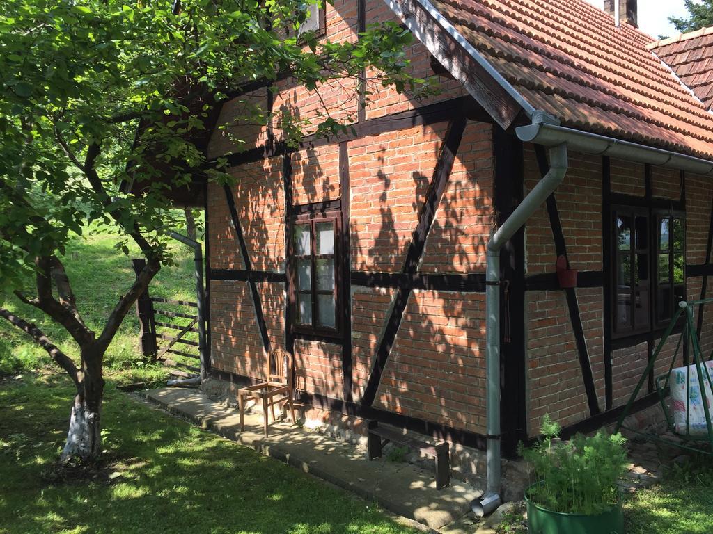 Country House Stoljetna Vila Seona Ngoại thất bức ảnh